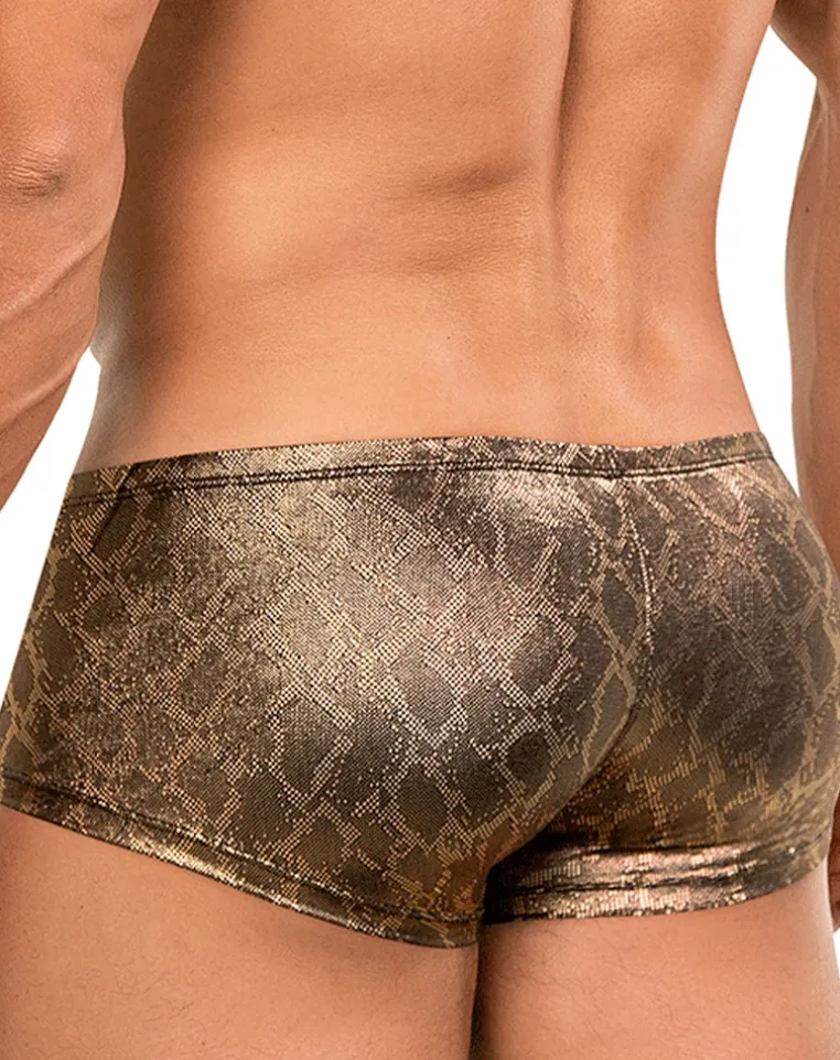 Clever 26042 Atlas Trunks Color Gold