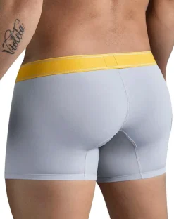 Clever 1755 Diseno Trunks Gray