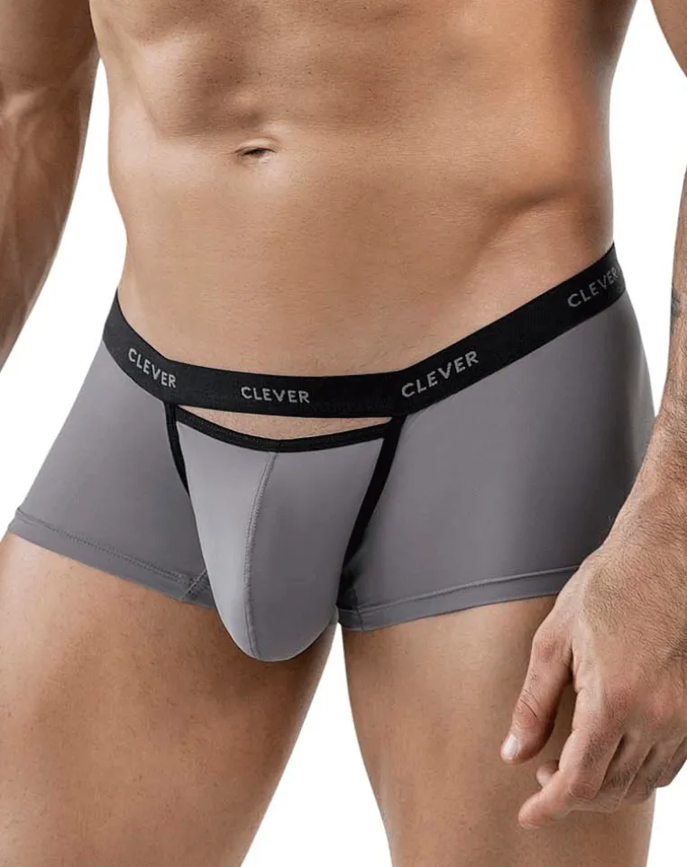 Clever 1866 Tokio Trunks Gray