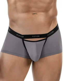 Clever 1866 Tokio Trunks Gray