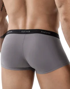 Clever 1866 Tokio Trunks Gray