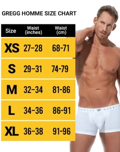 Gregg Homme Enhancer Room-Max Boxer Brief 152705 Silver