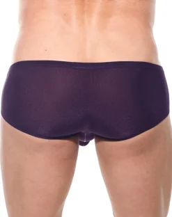 Gregg Homme Torridz Mini Trunk 87405 Plum