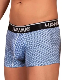 Hawai 42421 Printed Trunks Blue