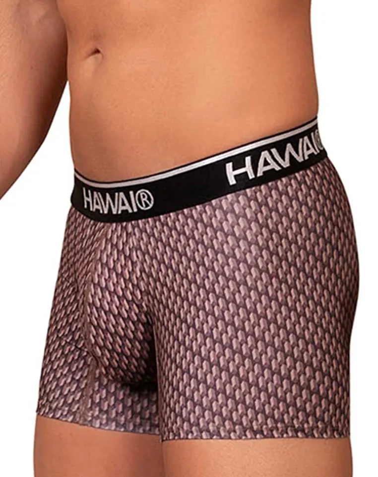 Hawai 42420 Printed Trunks Cocoa