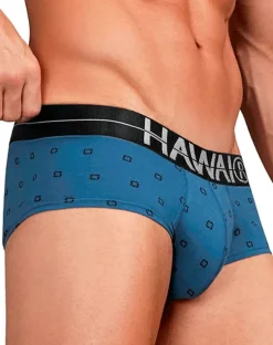 Hawair 42531 Cotton Blend Briefs Blue Quartz