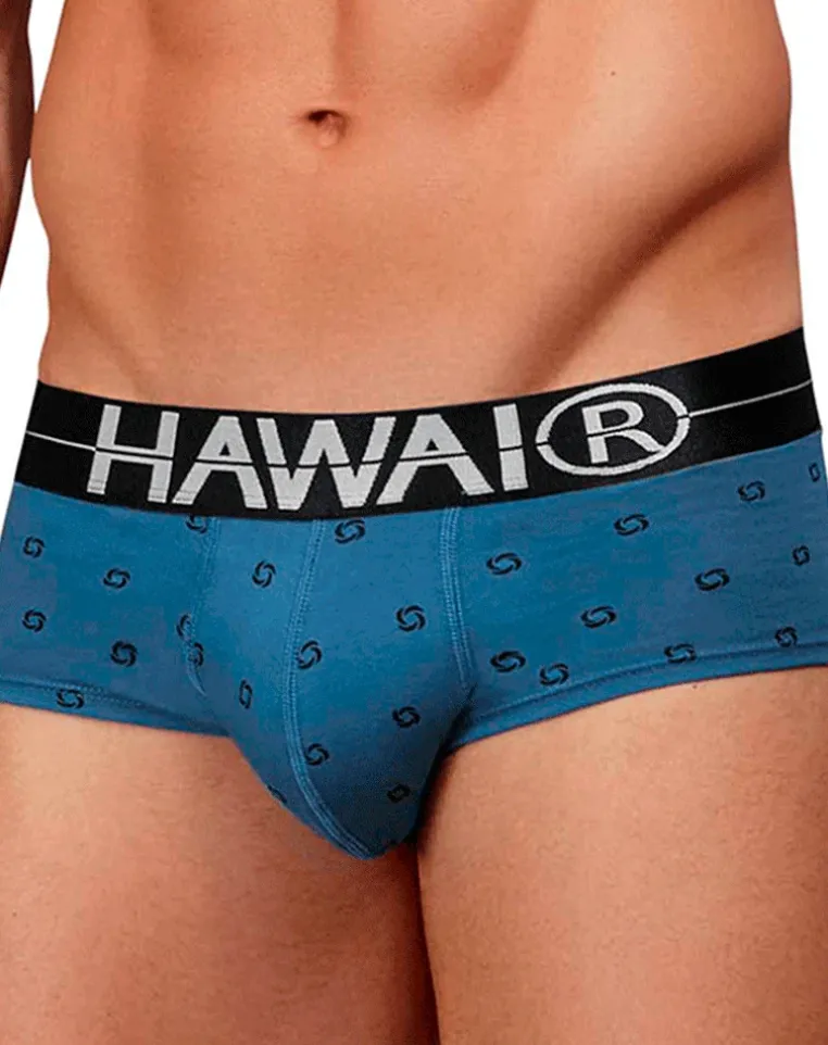 Hawair 42531 Cotton Blend Briefs Blue Quartz
