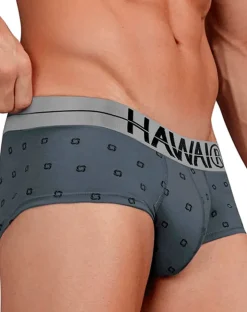 Hawair 42531 Cotton Blend Briefs Gray