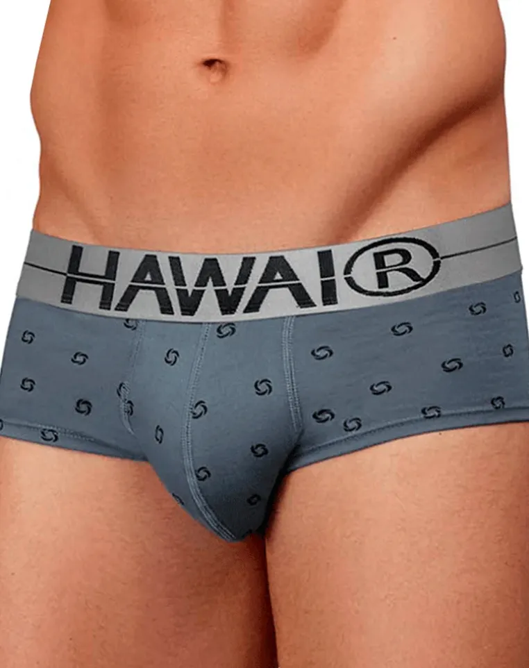 Hawair 42531 Cotton Blend Briefs Gray