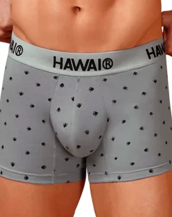 Hawair 42571 Cotton Blend Trunks Gray