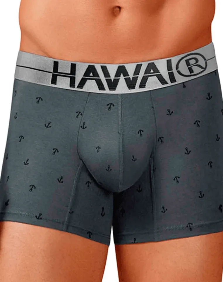 Hawair 42521 Cotton Blend Trunks Gray
