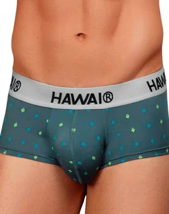 Hawair 42580 Microfiber Briefs Gray