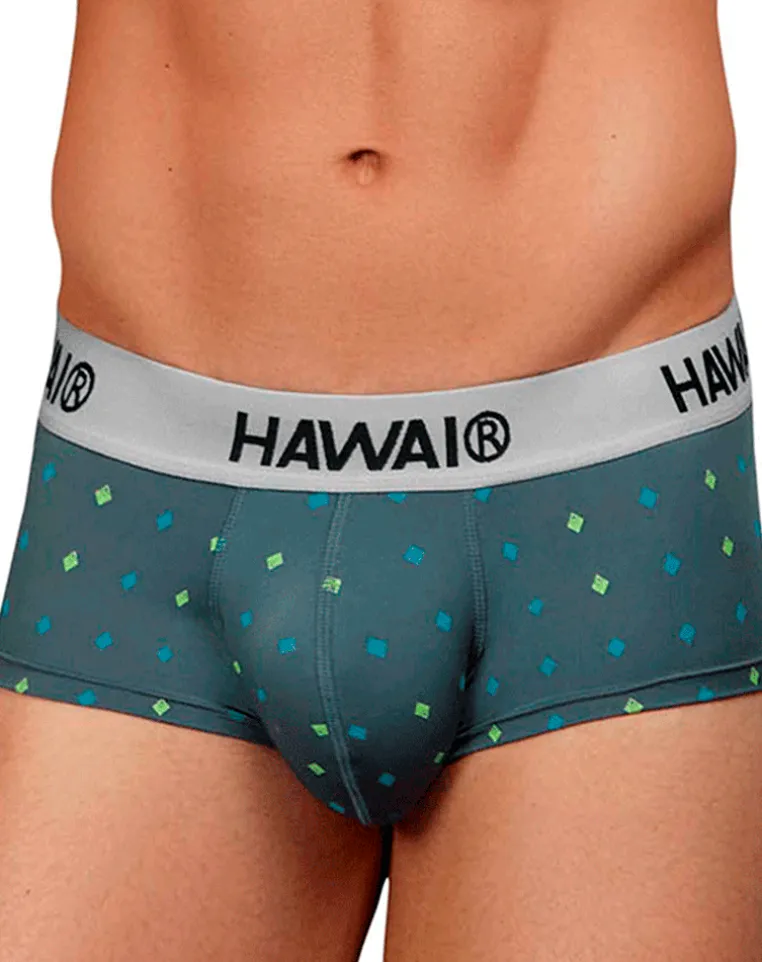 Hawair 42580 Microfiber Briefs Gray
