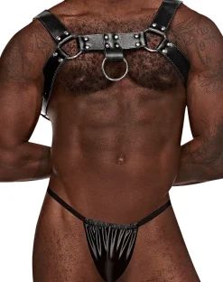 Male Power 590-266 Leather Aries Harness Black