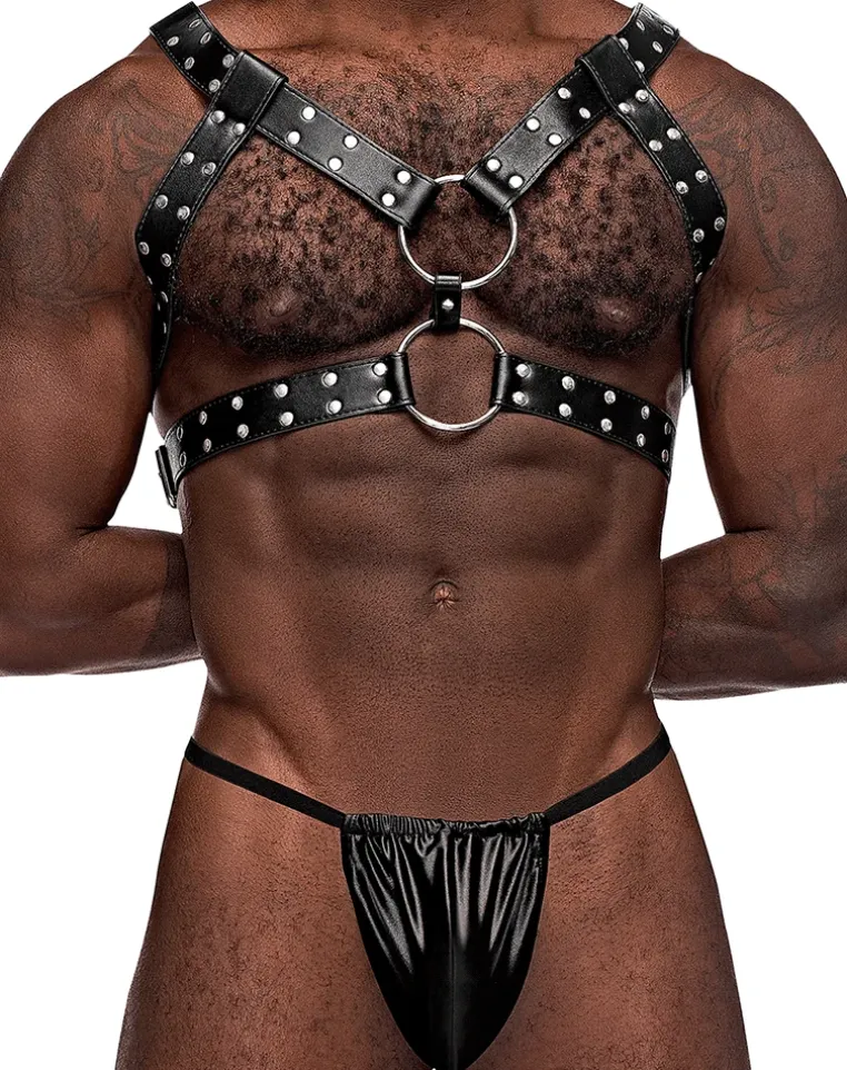 Male Power 591-266 Leather Gemini Harness Black