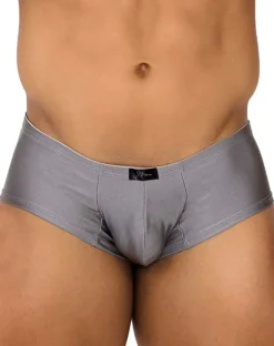 Xtremen 91180 Microfiber Trunks Silver